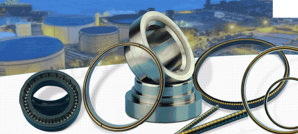 彈簧蓄能密封圈